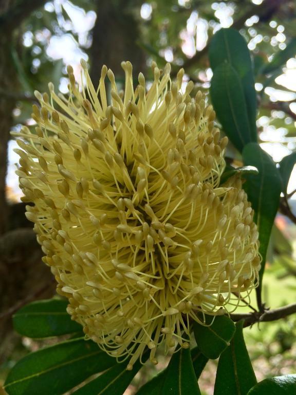 Ohuka Lodge Tuai المظهر الخارجي الصورة